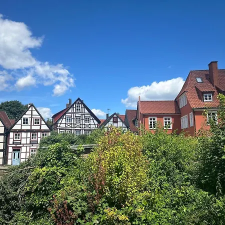 Wohnen An Der Dielenpader - Eisvogel